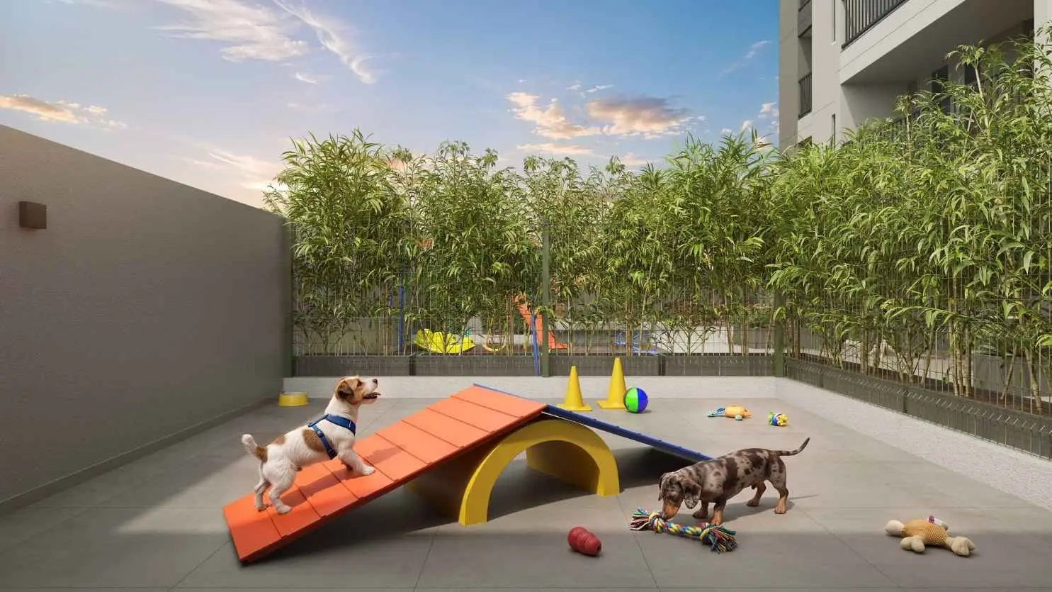 Pet place, render